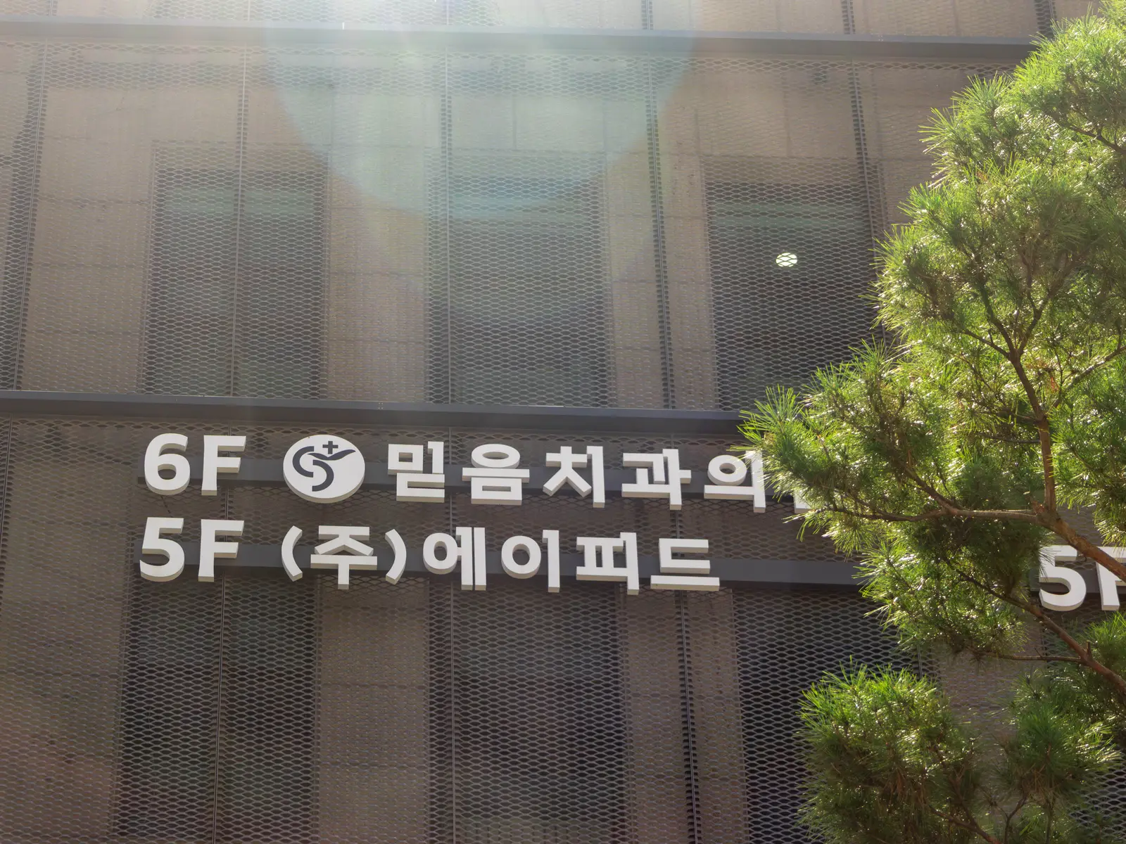 믿음치과의원 공간